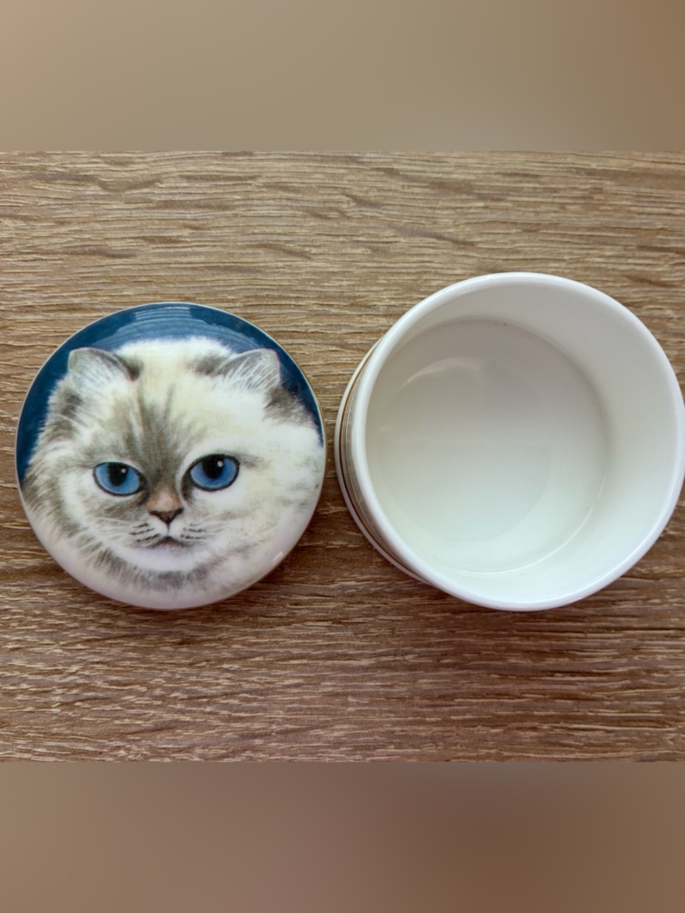 Cat Trinket Box with Himalayan Longhair - Fine Bone China